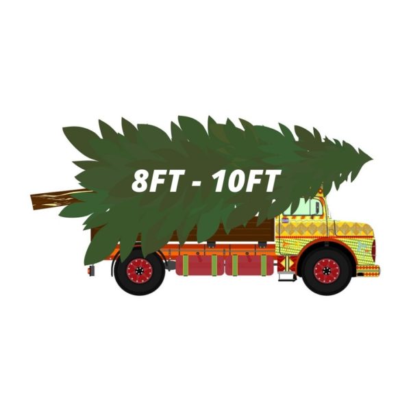 8-10ft - Outside and ready